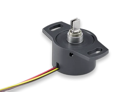 RSC28212